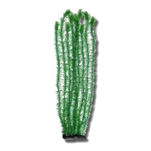 Betta 1m Dark Green Plastic Pond Plant (Tall)