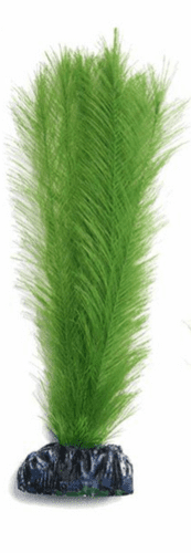 Betta 20cm Silk Green Myriophtllum (PP487)