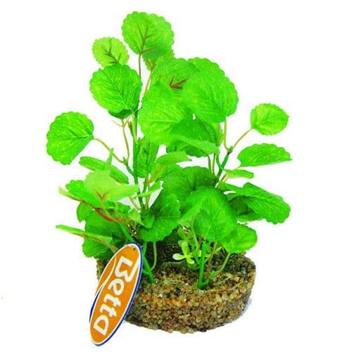 Betta 7" Green Silk Anubias Plant (PP351)