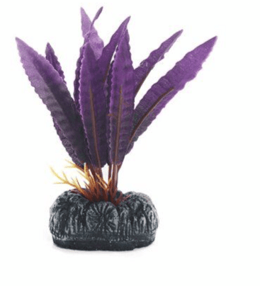 Betta Choice 10cm Purple Silk Crypto Balanese Plant (PP475)