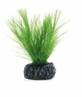Betta Choice 10cm Silk Green Myriophtllum (PP477)