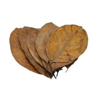 Betta Choice Jack Leaves (20pk)