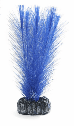 Betta Choice Silk Blue Myriophtllum 10cm (PP478)
