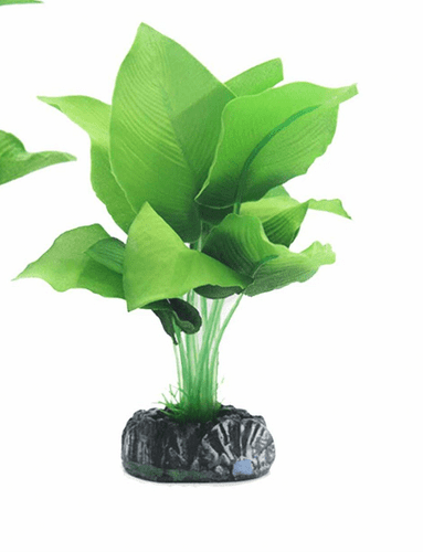 Betta Choice Silk Green Spatterphyllum 20cm (PP482)