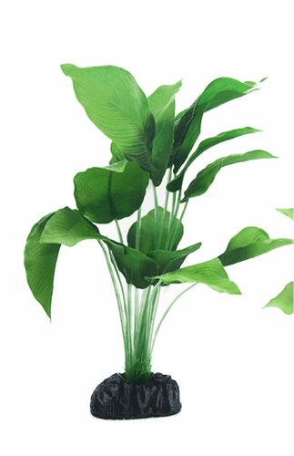 Betta Choice Silk Green Spatterphyllum 30cm (PP492)