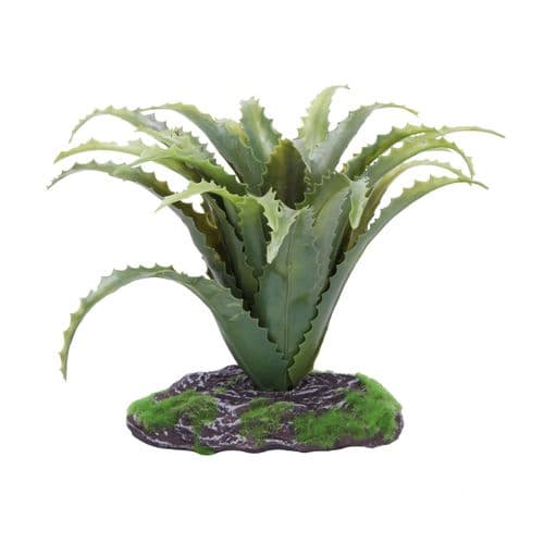 Betta Terra Aloe Vera Plant (19cm) - RP016