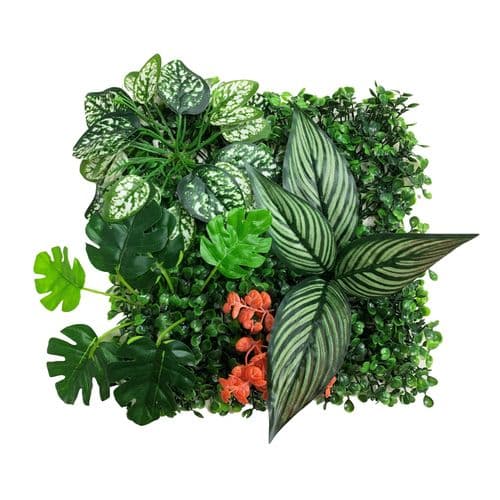Betta Terra Calathea Garden Mat (25x25cm) - RP005