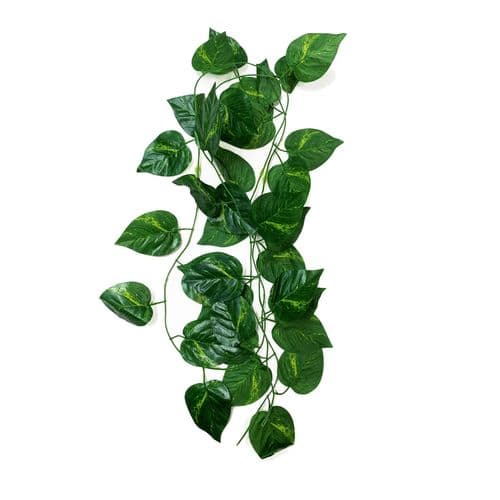 Betta Terra Green Ivy Vine (230cm) - RP028