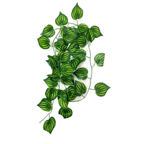 Betta Terra Green Ivy Vine Striped Leaf (230cm) - RP035