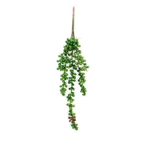 Betta Terra Green / Red Vine (70cm) - RP032