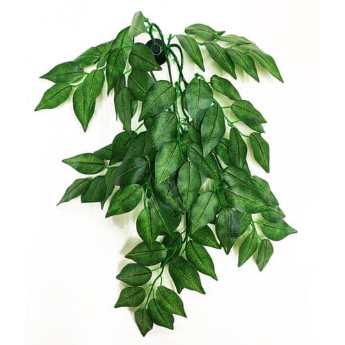 Betta Terra Green Terrarium Vine (60cm) - RP026