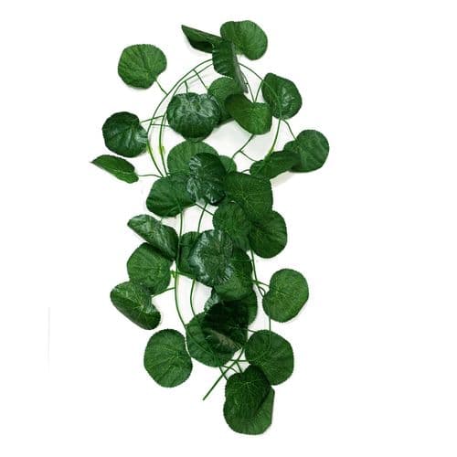Betta Terra Green Vine (230cm) - RP039