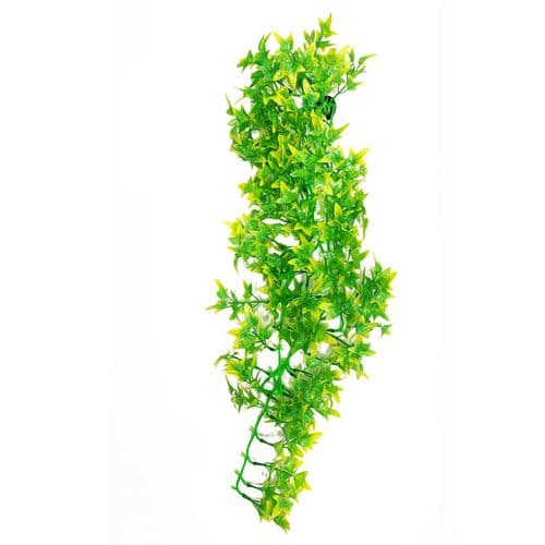Betta Terra Green / Yellow Terrarium Vine (70cm) - RP022