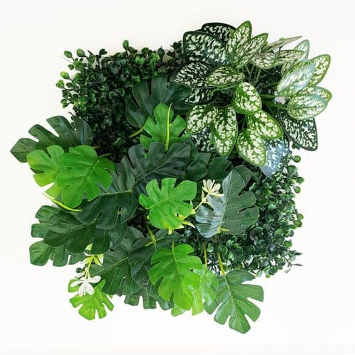 Betta Terra Monstera Garden Mat (25x25cm) - RP008