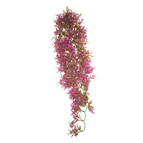 Betta Terra Pink Terrarium Vine (70cm) - RP023