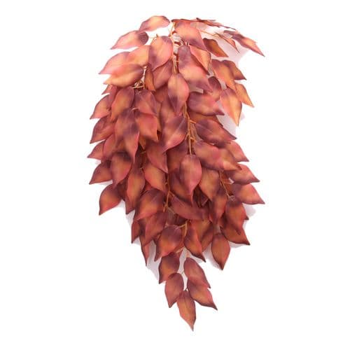 Betta Terra Red Terrarium (37cm) - RP029