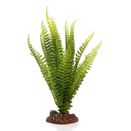 Betta Terra Shuttlecock Fern (31cm) - RP019