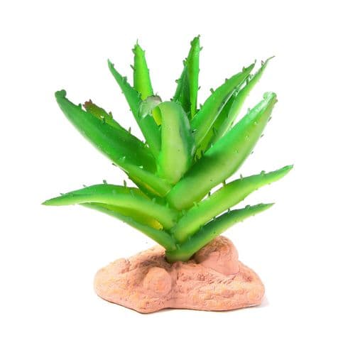 Betta Terra Succulent Plant (13cm) - RP012