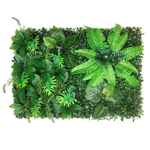 Betta Terra Sword Fern Garden Mat (40x60cm) - RP002