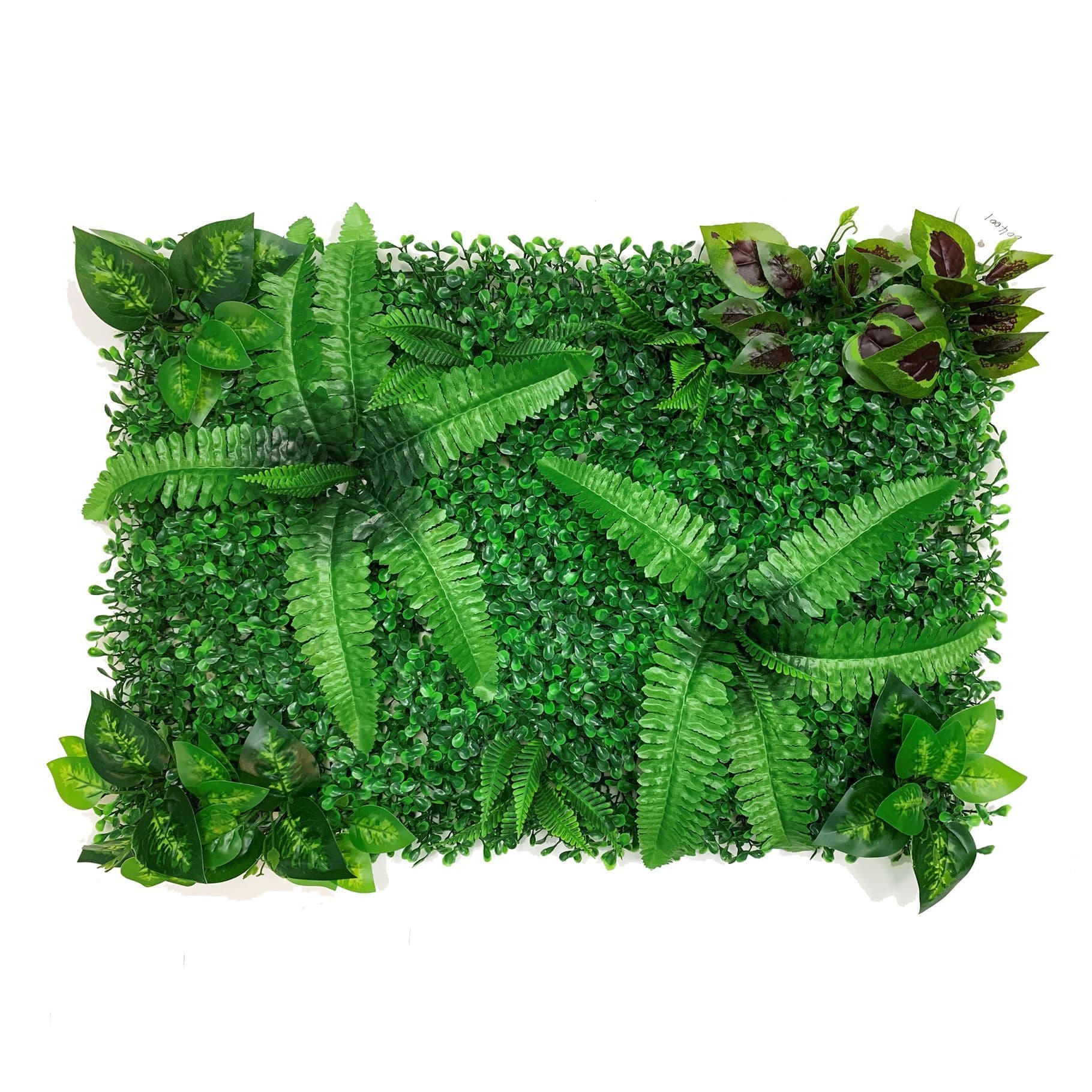 Betta Terra Twin Fern Garden Mat 40x60cm - RP001