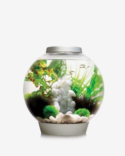 Biorb Classic 30 Litres Aquarium & Light (Silver)