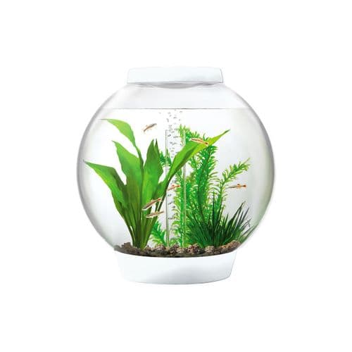 Biorb Classic (Baby) 15 Litre & Light (Range)