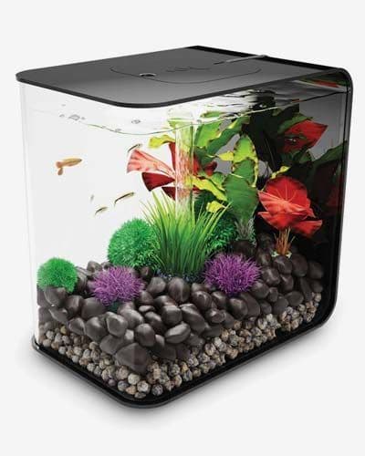 Biorb Flow 30 Litre (Black)