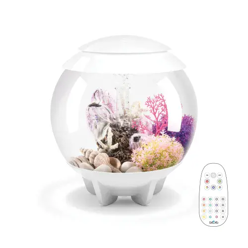 Biorb Halo 30 Litres Aquarium (White)
