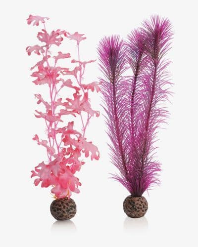 Biorb Pink Kelp