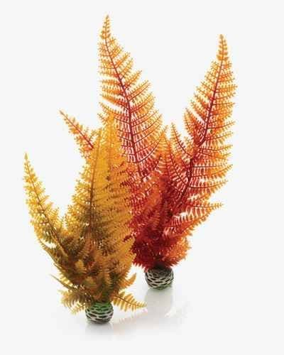 Biorb Plant Autumn Fern
