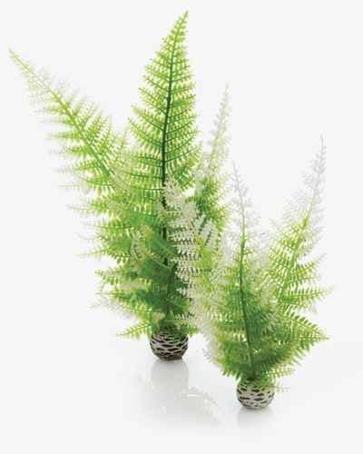 Biorb Plant Fern Winter