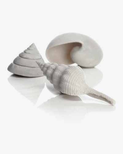 Biorb Sea Shells White (3 Pack)