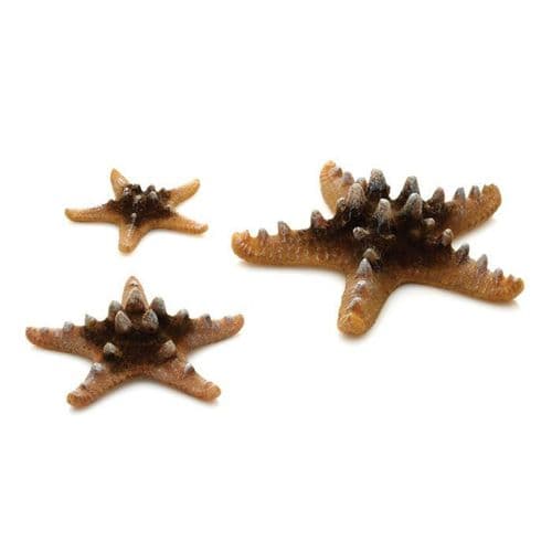 Biorb Sea Stars Natural