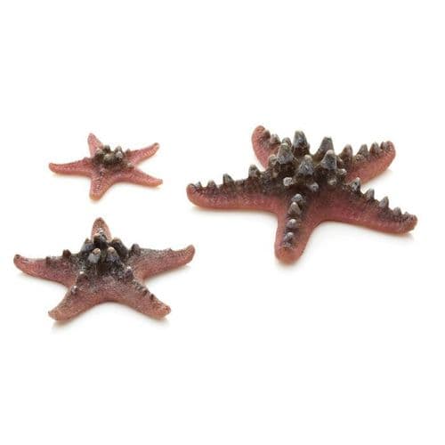Biorb Sea Stars Pink