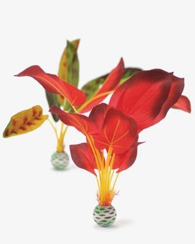 Biorb Silk Plant Red/Green