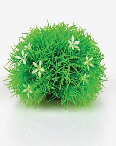 Biorb Topiary Ball with Daisy