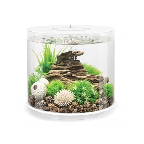 Biorb Tube 15 Litres (4 Gal) - Cylindrical Aquarium Kit (Range)