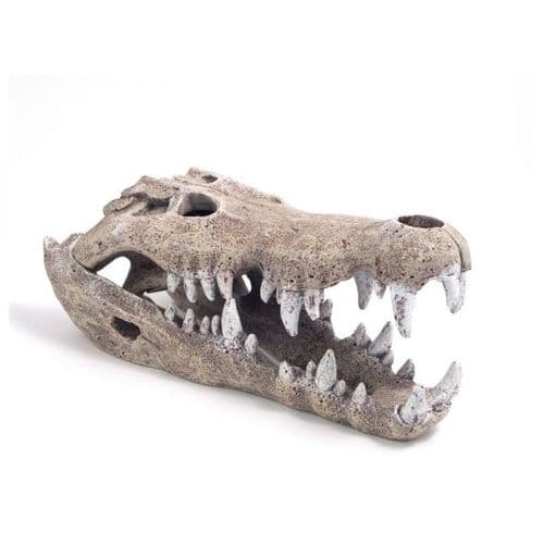 Blue Ribbon Nile Crocodile Skull Large - Aquarium Ornament