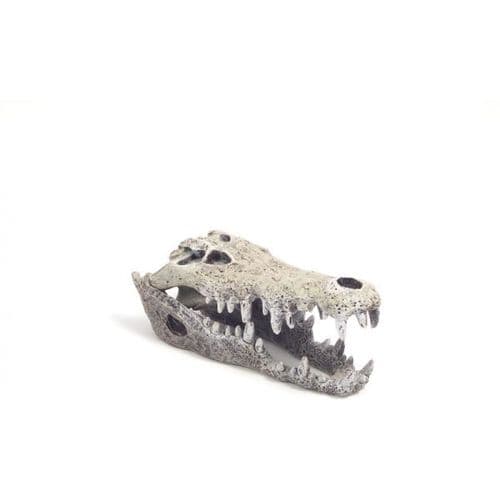Blue Ribbon Nile Crocodile Skull Small - Aquarium Ornament