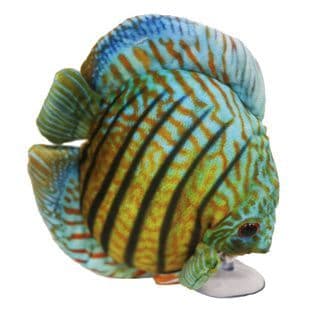 Ceramic Nature - Discus Plush Toy