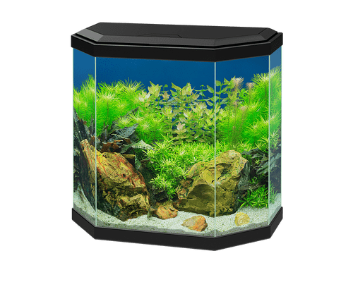 Ciano Aqua 30 LED Aquarium Kit