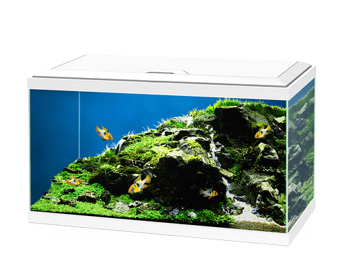 Ciano Aqua 60 Aquarium Kit