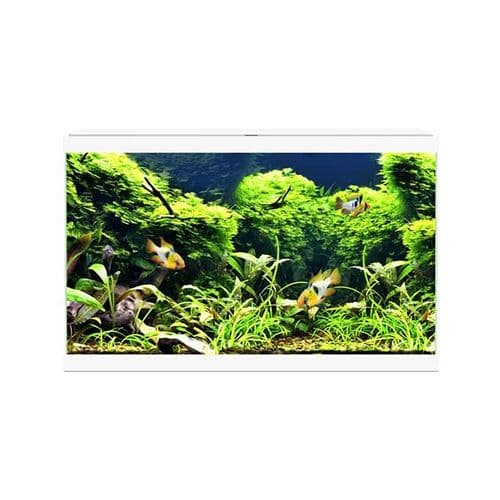 Ciano Aqua 60 Plus Aquarium (LED) (White)