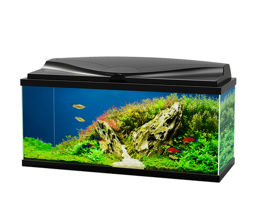 Ciano Aquarium 80 Aquarium Kit