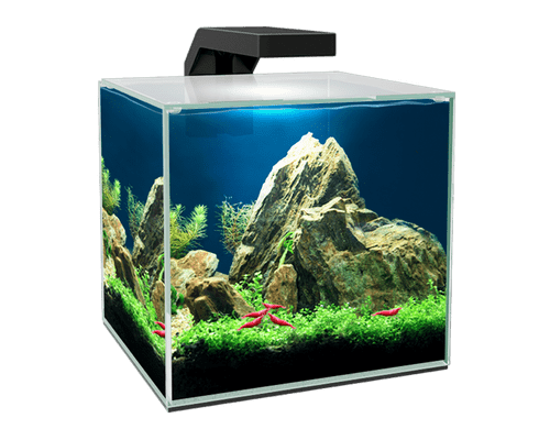 Ciano Cube 15 Aquarium (14L) (Black / White)