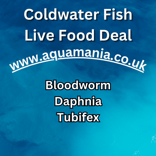 Cold Water Live Foods Deal - Live Fish Food
