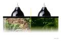 Exo Terra Glow Light Porcelain Clamp Lamp + Glow Reflector (Large)
