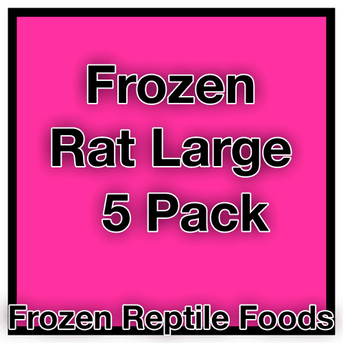 Frozen Large Rats (251-355g) - 5pk