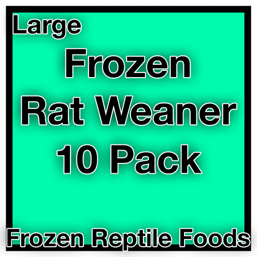 Frozen Large Weaner Rat (51-100g) - 10pk