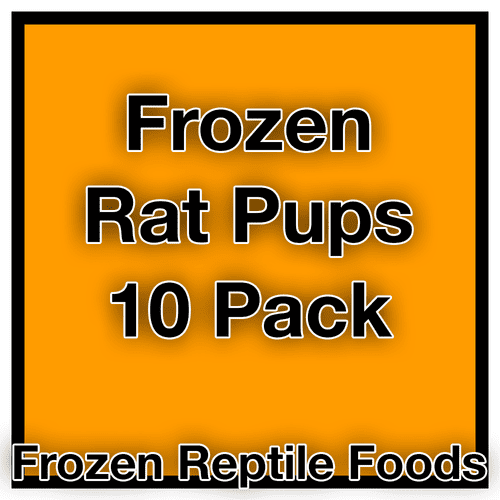 Frozen Rat Pups / Pinks (<10g) - 10pk